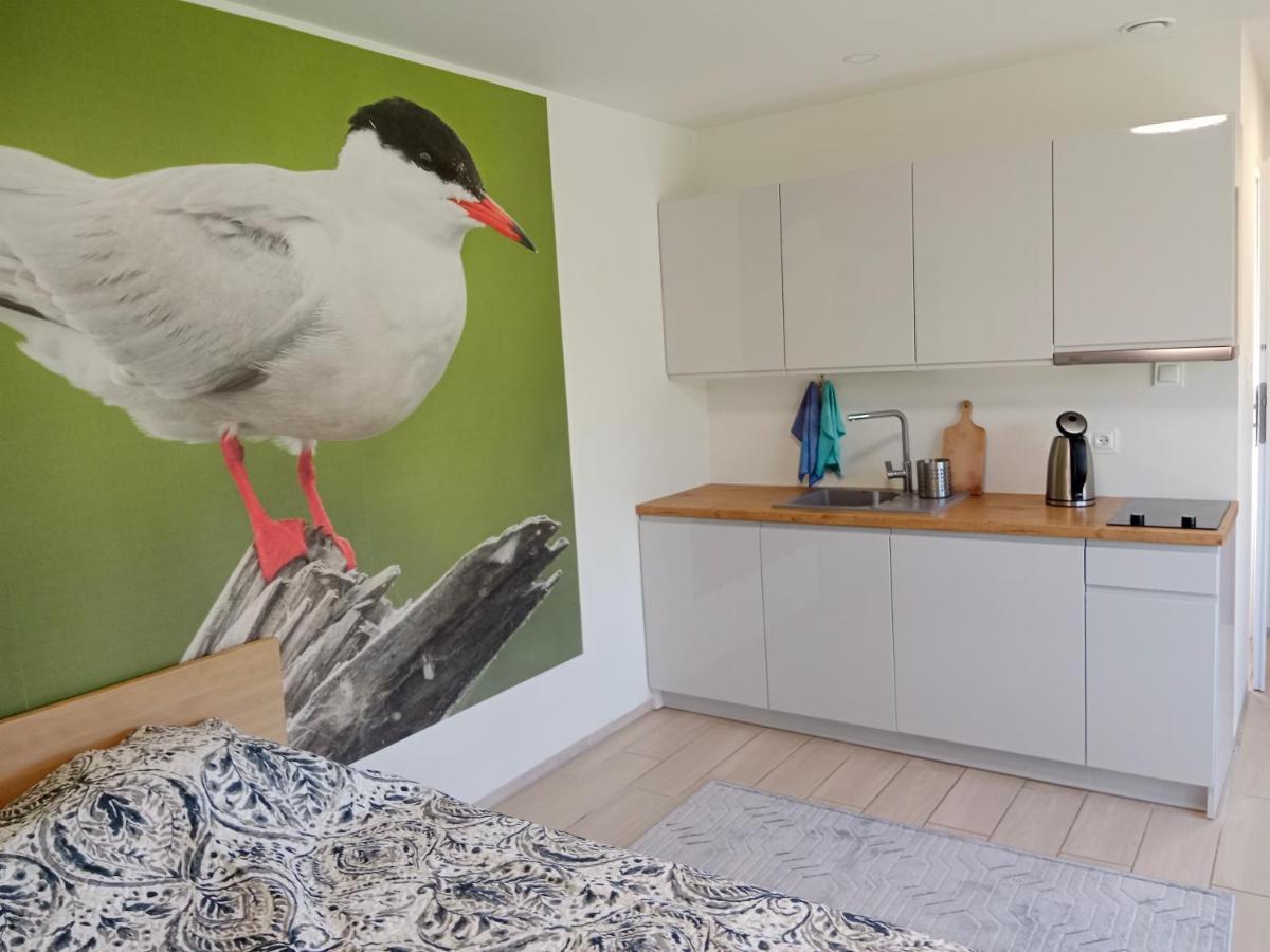 Apartamenty I Domki Osinscy Braniewo Exteriér fotografie