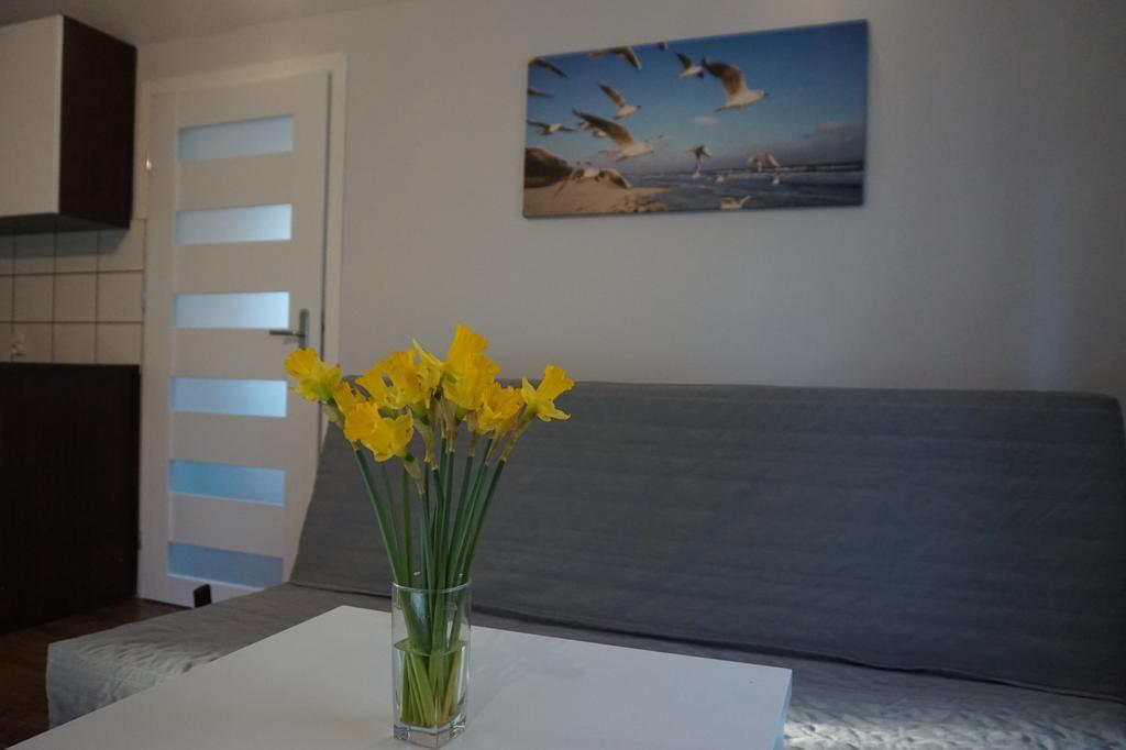 Apartamenty I Domki Osinscy Braniewo Exteriér fotografie